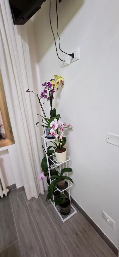 Frühstückspension Orchidea Bologna